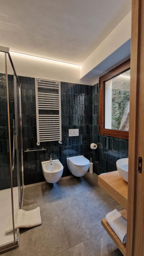 Shower, Toilet, Bathroom, bidet, towels