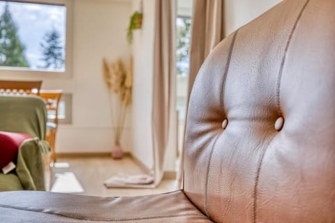 Le havre de Paix - Near Geneva - Calm and Quiet Apartment in Canton of Geneva