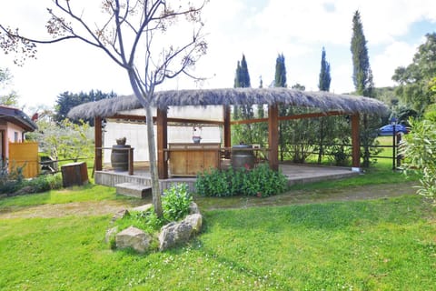 Piccola Fattoria - Happy Rentals Apartment in Tuscany