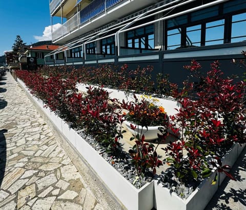 Blue Seagull Guest House Bed and Breakfast in Chiavari