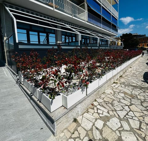 Blue Seagull Guest House Bed and Breakfast in Chiavari