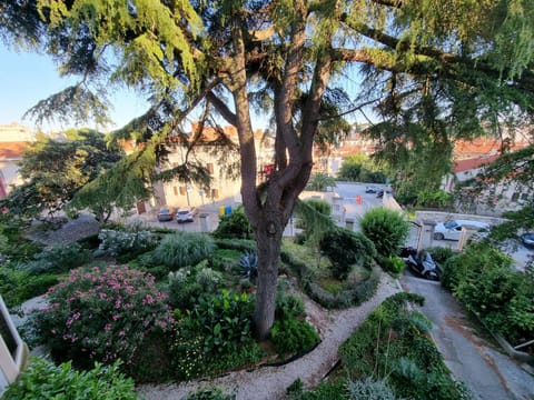 Garden, City view, Garden view