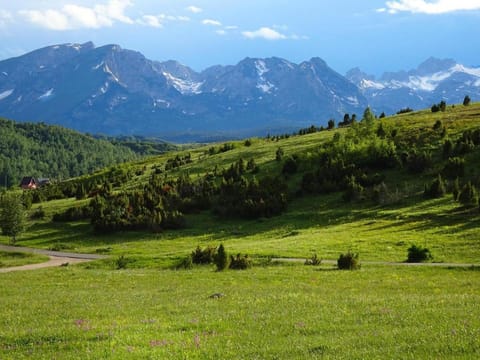 Mountain view