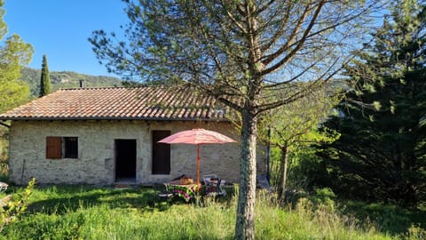 Property building, Spring, Day, Natural landscape, Garden, Garden view