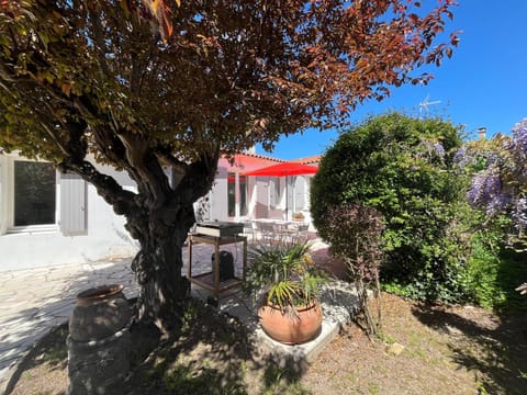 Patio, Garden, Garden, Balcony/Terrace
