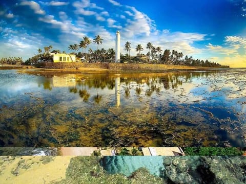 Natural landscape