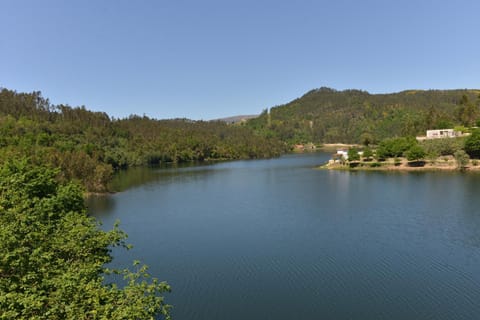 Natural landscape, River view