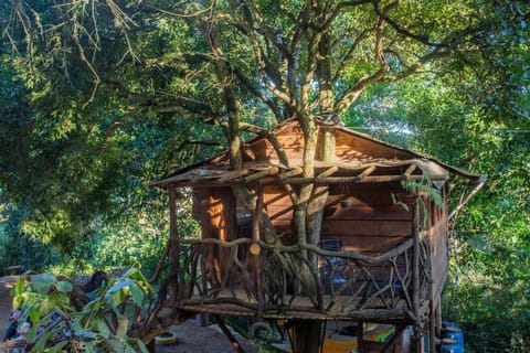 Property building, Natural landscape