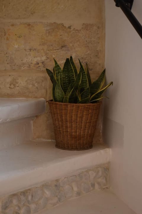 Tal-Pupa Converted Home Apartment in Munxar