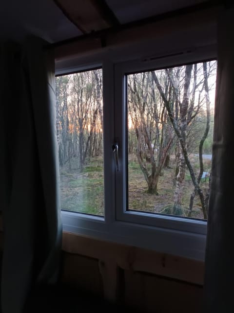 Spring, Natural landscape