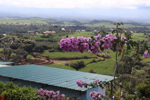 Natural landscape, Mountain view