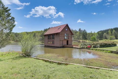 2 Docks and Paddleboard Lakefront Alabama Retreat! House in Alabama