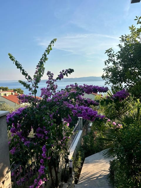 Apartments Lorenco Apartment in Brela