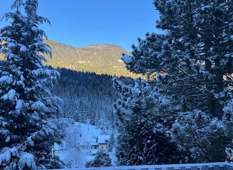 Urlaub mit Bergblick - Ferienhaus in Bad Bleiberg House in Villach