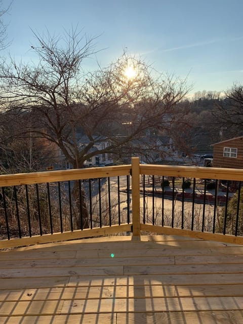 Lewis M Fisher House House in Davenport