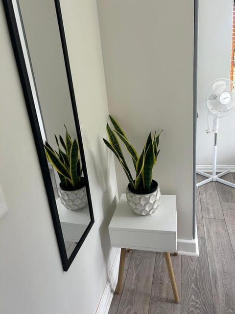 Mansion De La Luna House in Plettenberg Bay