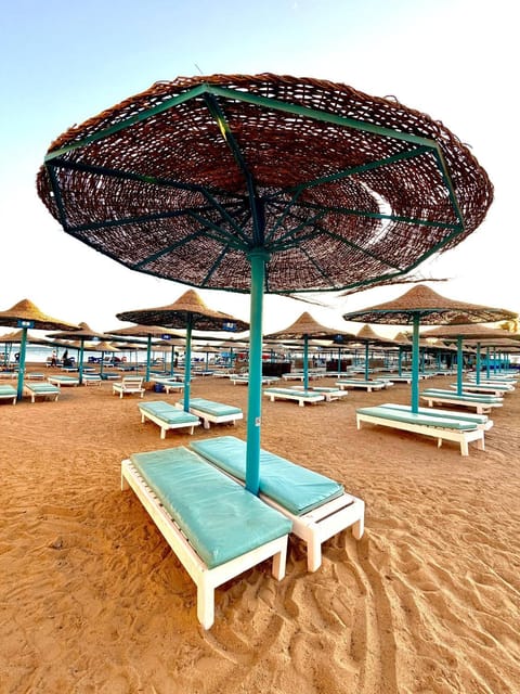 Day, Natural landscape, Beach, Beach, sunbed