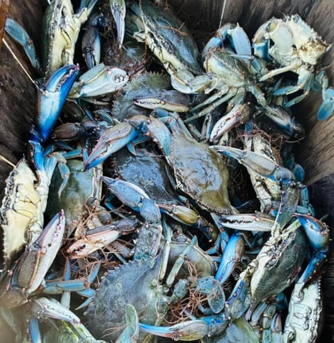 Beautiful Paradise for You House in Port Charlotte