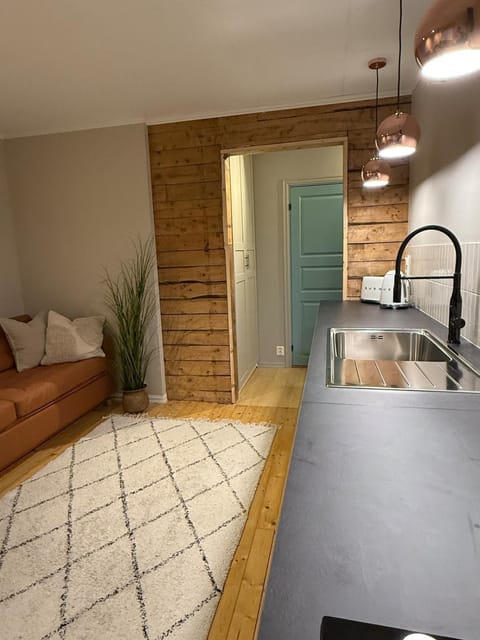 Kitchen or kitchenette, Living room, Photo of the whole room, Seating area