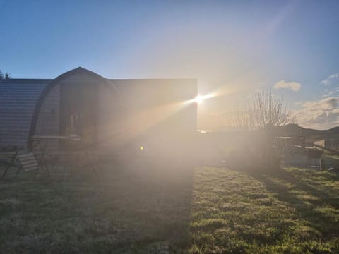 Forest View Chalet in Scotland