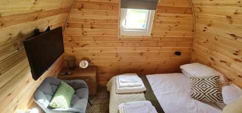 Forest View Chalet in Scotland