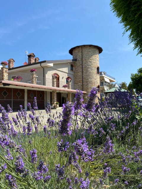 Property building, Spring, Garden, Garden view
