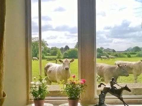 View (from property/room)