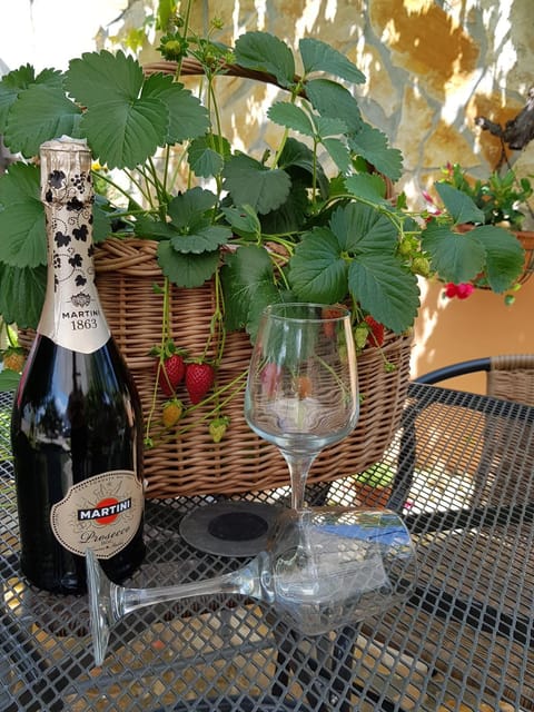 Apartments Toni Apartment in Zadar