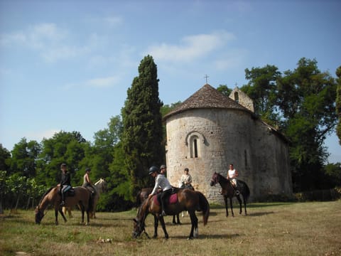 Horse-riding