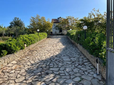 Spring, Day, Garden, Garden view