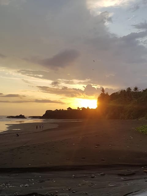 Villa cecile Villa in West Selemadeg