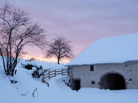 Gîte Vosges : nature, cheminée, animaux acceptés - FR-1-583-379 House in Vosges