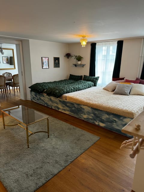 Cozy City Nest Apartment in Interlaken