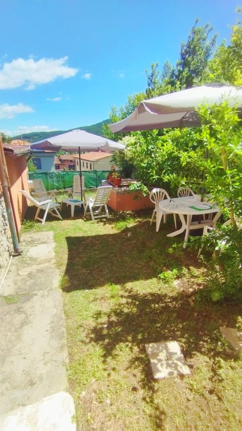 Patio, Spring, Day, Natural landscape, Garden, Garden view, sunbed