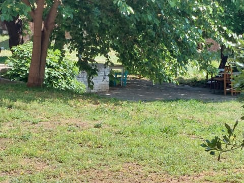 Small budget studio center Apartment in Thessaloniki