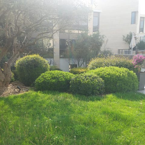 Small budget studio center Apartment in Thessaloniki