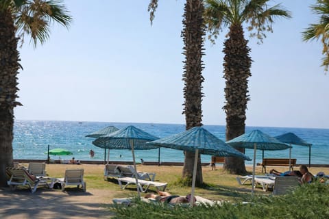Spring, Day, Natural landscape, Beach, Sea view, sunbed