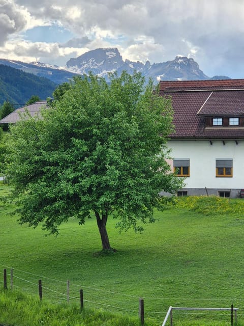 Garden, Mountain view