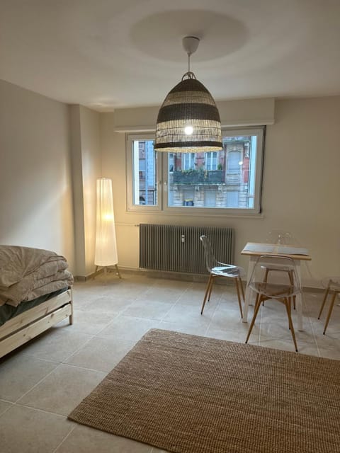 Studio Vacation rental in Strasbourg