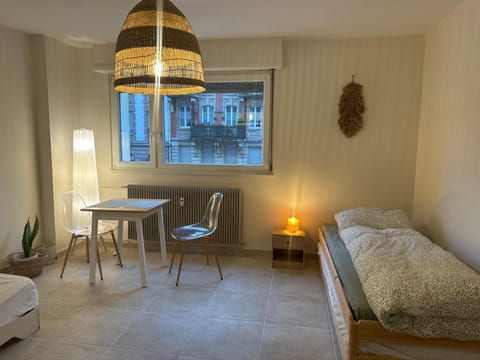 Studio Vacation rental in Strasbourg