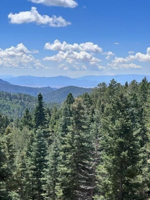 Storybook Cabin in the Santa Fe Forest Cabin in Tesuque