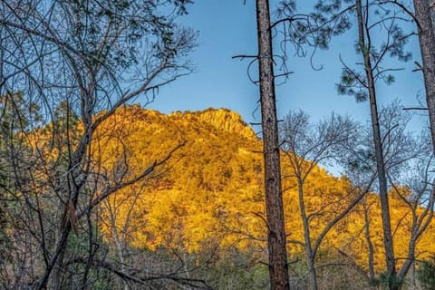 Storybook Cabin in the Santa Fe Forest Cabin in Tesuque