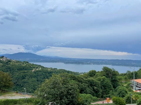 Lake view