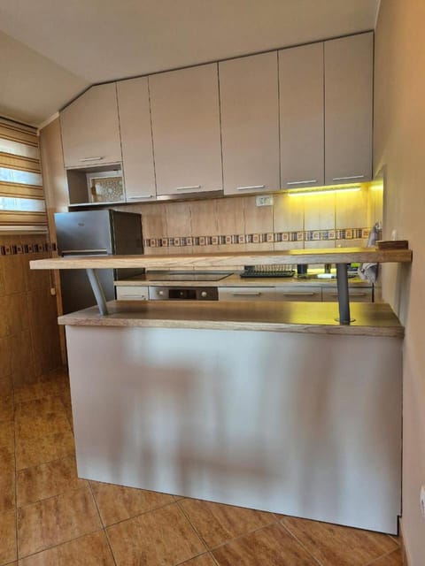 Zorana Apartment in Montenegro