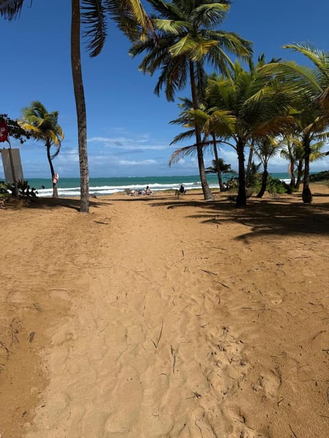 Beach, Sea view