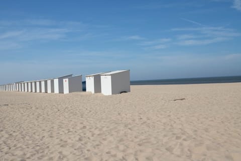 Day, Natural landscape, Beach, Sea view
