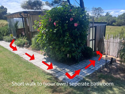 The Perch Northland Bed and Breakfast in Northland