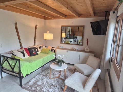 Bed, TV and multimedia, Living room, Seating area