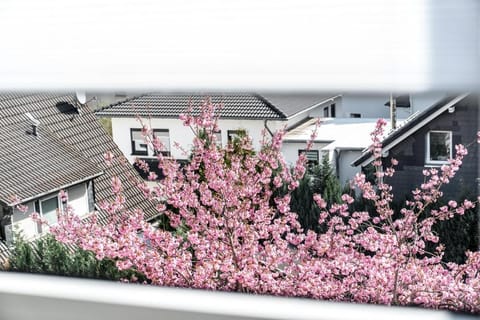 krönchen zwei Apartment in Siegen