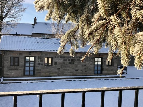 Property building, Winter